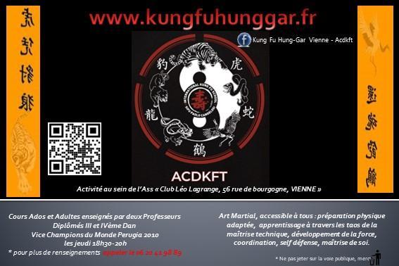 ecole de kung fu traditionnel Hung Gar VIENNE 38200