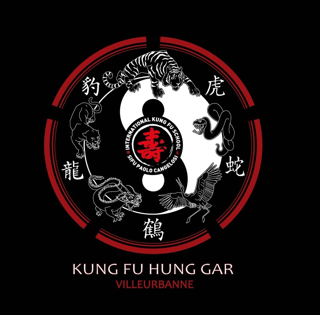kung fu vienne